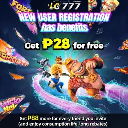 PP6